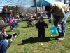 Louisville KY Easter Egg Hunt 9